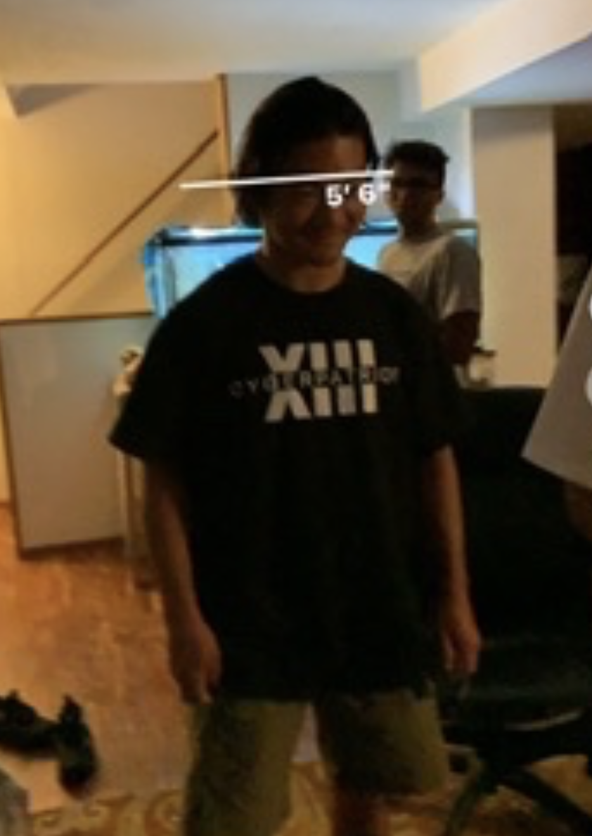 inaccurate height btw(taller irl)